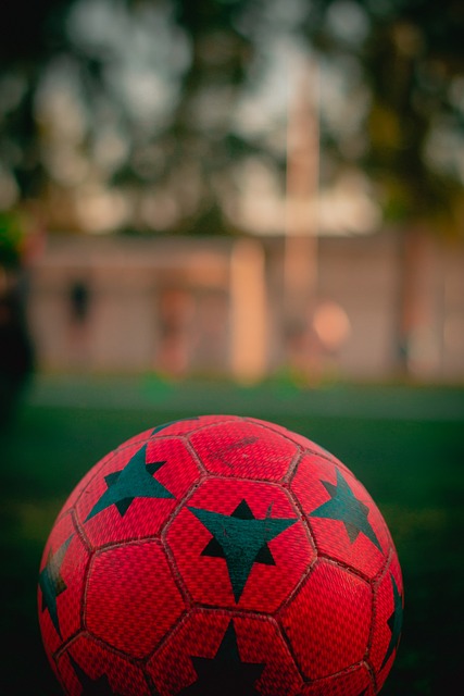 在国际上的 在国际上的