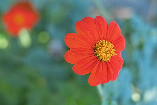 仅让观众感 仅让观众感