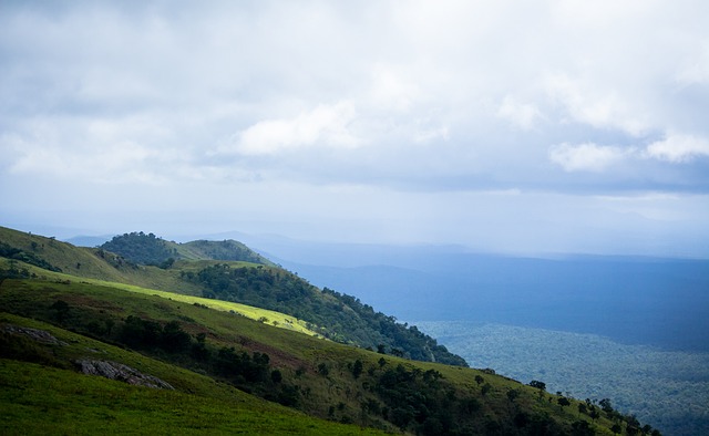 的再度綻放 的再度綻放