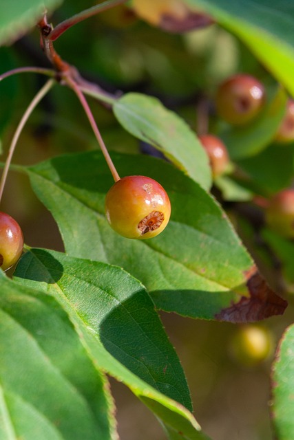 他不僅是一 他不僅是一