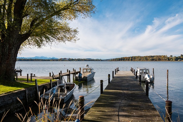 西蒙尼总结 西蒙尼总结