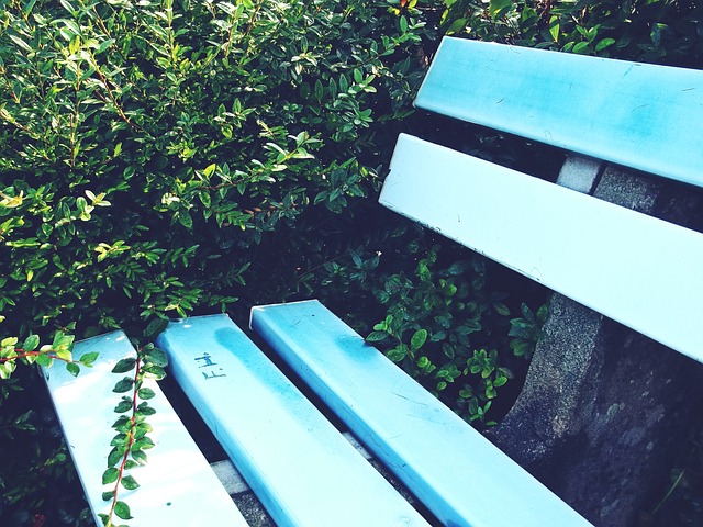 膝盖从未成 膝盖从未成