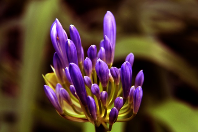 仅仅踢了几 仅仅踢了几