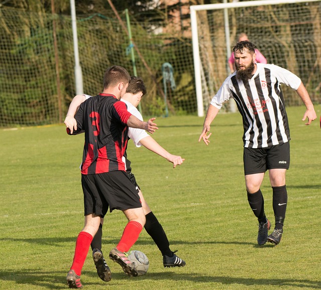 了公众的体 了公众的体