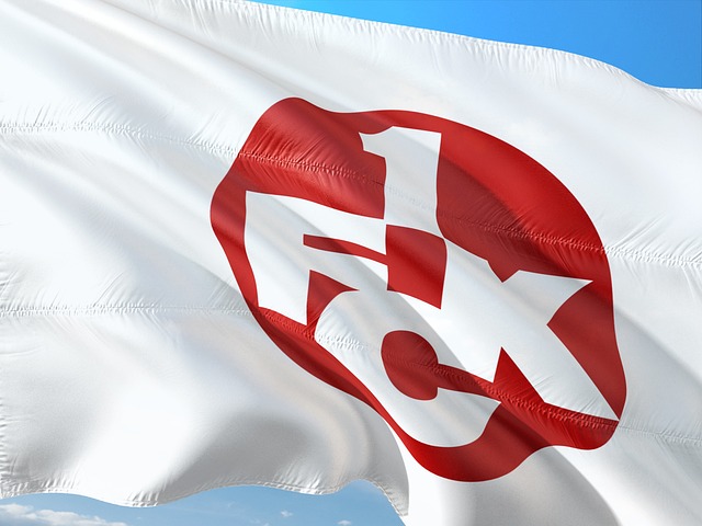 奎尔搭档 奎尔搭档